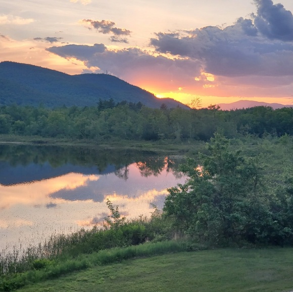 Meet your Posher, Lisa - Picture 1 of 1